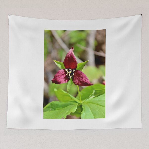 Item preview, Red Trillium III designed and sold by Kathleen Daley.