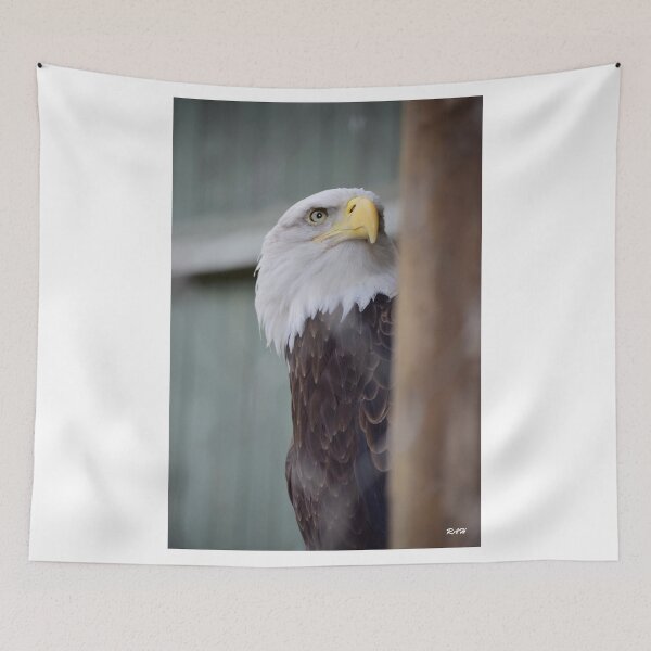 Item preview, Bald Eagle designed and sold by RonHebert.