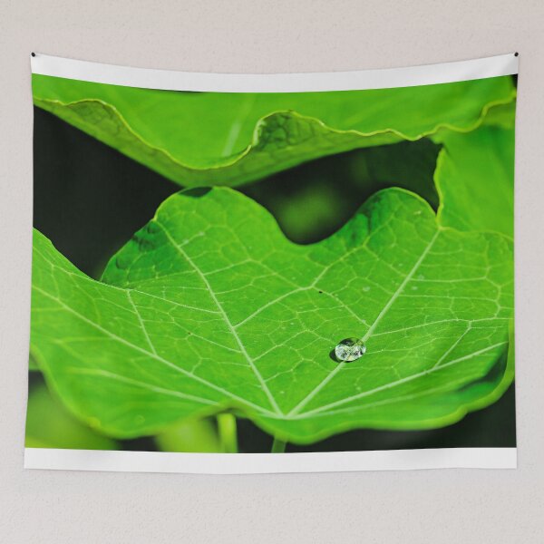 Item preview, Single Raindrop on a Leaf designed and sold by ADM  Photography.