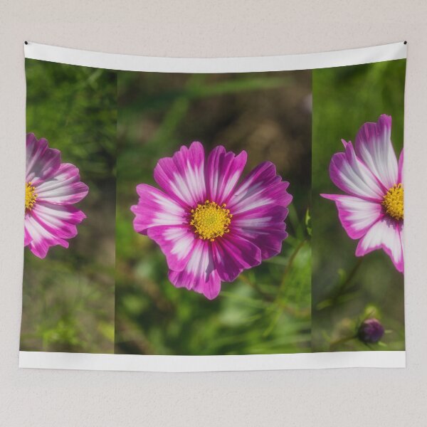 Item preview, Cosmos Trio designed and sold by Veikko  Suikkanen.