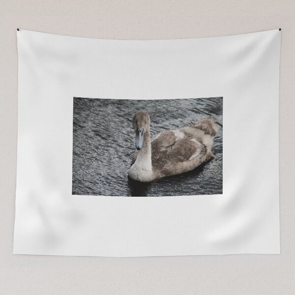 Item preview, You Wanna Take a Picture! designed and sold by Ladymoose.