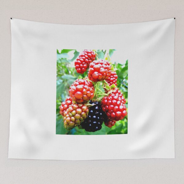 Item preview, Blackberries designed and sold by angel1.