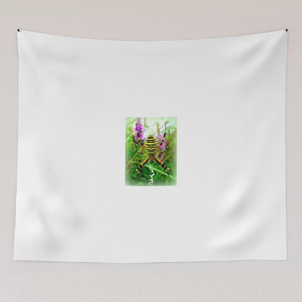 Item preview, Wasp Spider Female designed and sold by angel1.