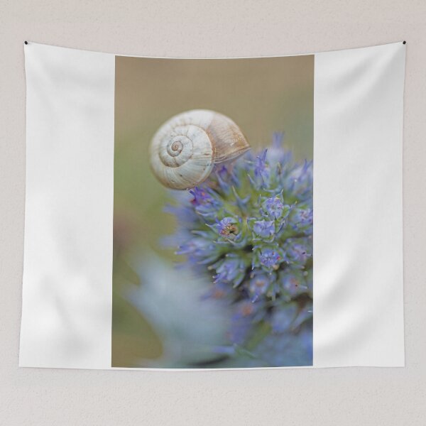 Item preview, Snail on Sea Holly Flower designed and sold by Cameranick.