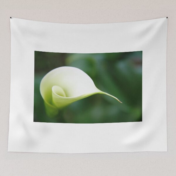 Item preview, qrl II designed and sold by vampvamp.