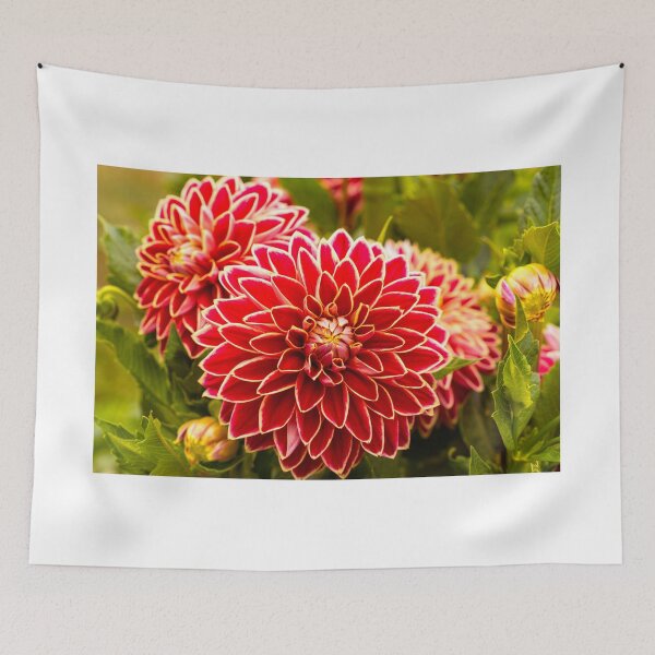Item preview, Dahlia In Bloom 11 designed and sold by JoeGeraci.