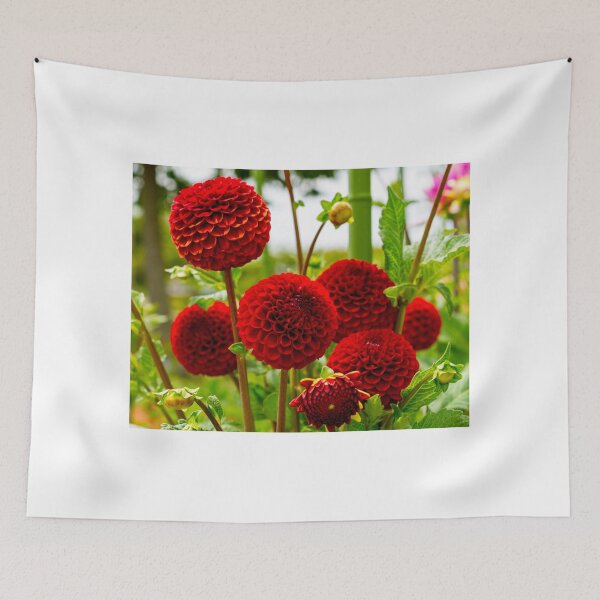 Item preview, Dahlia In Bloom 8 designed and sold by JoeGeraci.