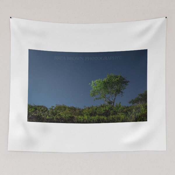 Item preview, Lighting Compliments of the Moon designed and sold by Rrea Brown Photography.