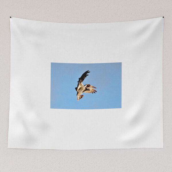 Item preview, Air Braking with Lunch designed and sold by Kathleen Daley.