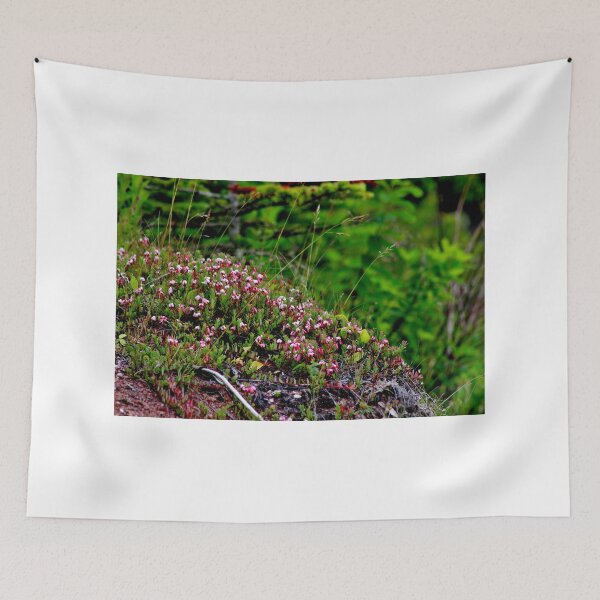 Item preview, Small Cranberry designed and sold by Kathleen Daley.