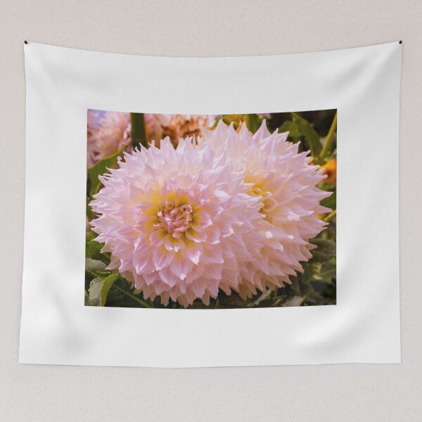 Item preview, Dahlia In Bloom 17 designed and sold by JoeGeraci.