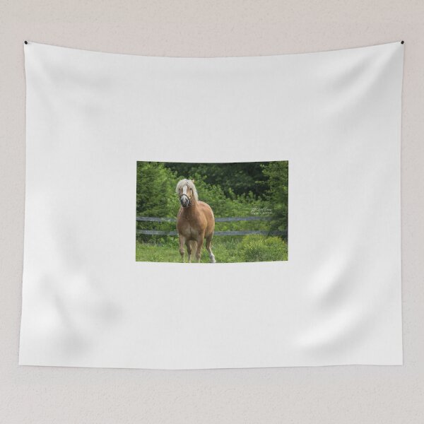 Item preview, Freedom to Roam designed and sold by Rrea Brown Photography.