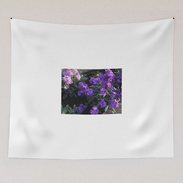 Item preview, Scented Stocks at Sunrise designed and sold by SunriseRose.