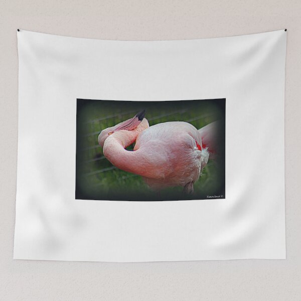 Item preview, The Contortionist designed and sold by naturelover.