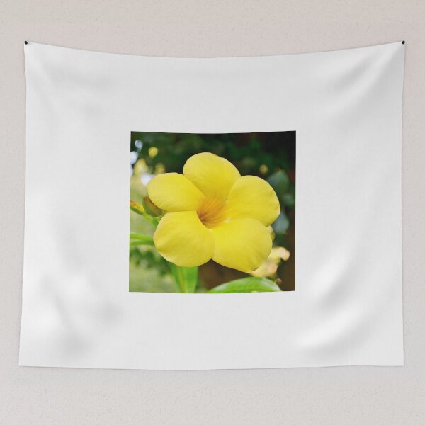 Item preview, Allamanda Cathartica designed and sold by Scott Mitchell.