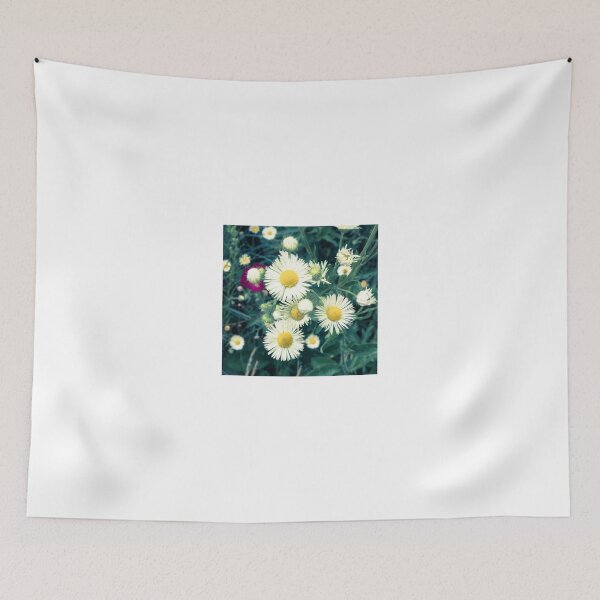 Item preview, Bursting designed and sold by Thaddeus Zajdowicz.