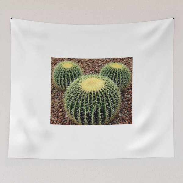 Item preview, Mickey Mouse Barrel Cactus designed and sold by 31images.