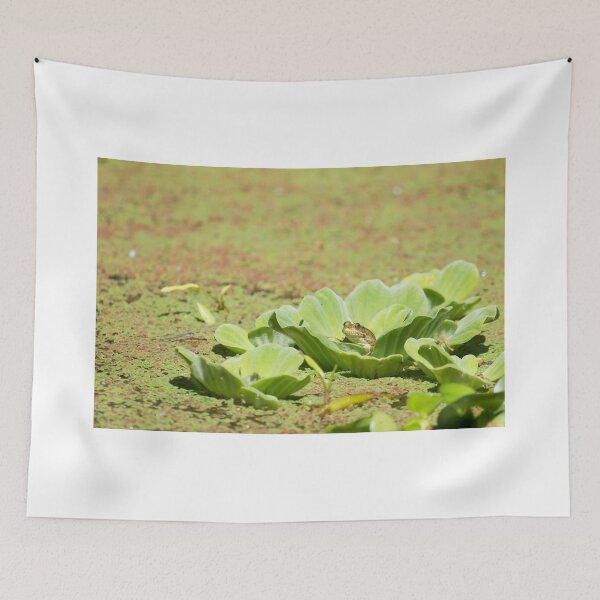 Item preview, Prince Of The Lily Pods designed and sold by EugeJ.