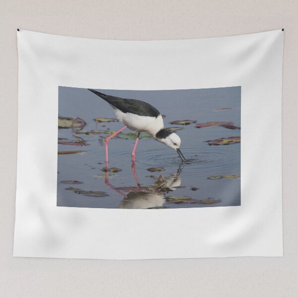 Aperçu de l'œuvre Where Did It Go? créée et vendue par byronbackyard.