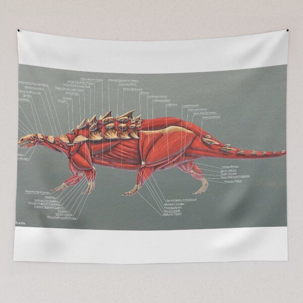 Item preview, Gastonia Burgei Muscle Study designed and sold by Thedragonofdoom.