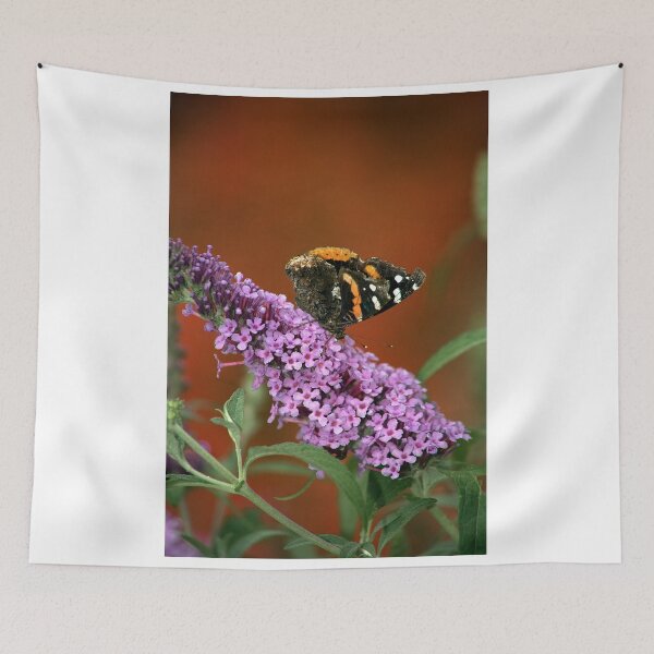 Item preview, Red Admiral on Butterfly Bush designed and sold by Adam Bykowski.