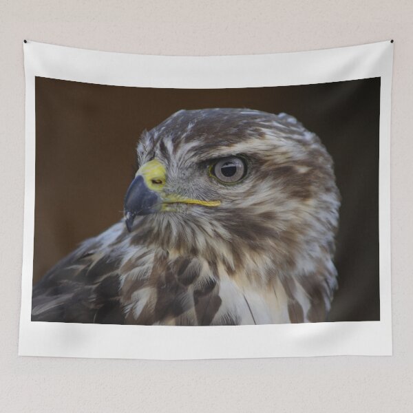 Item preview, Buteo buteo designed and sold by Mythos57.