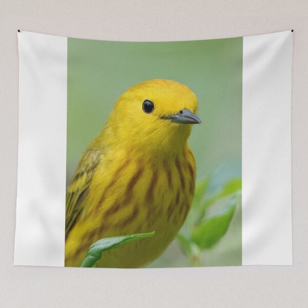 Item preview, Yellow Warbler designed and sold by WorldDesign.