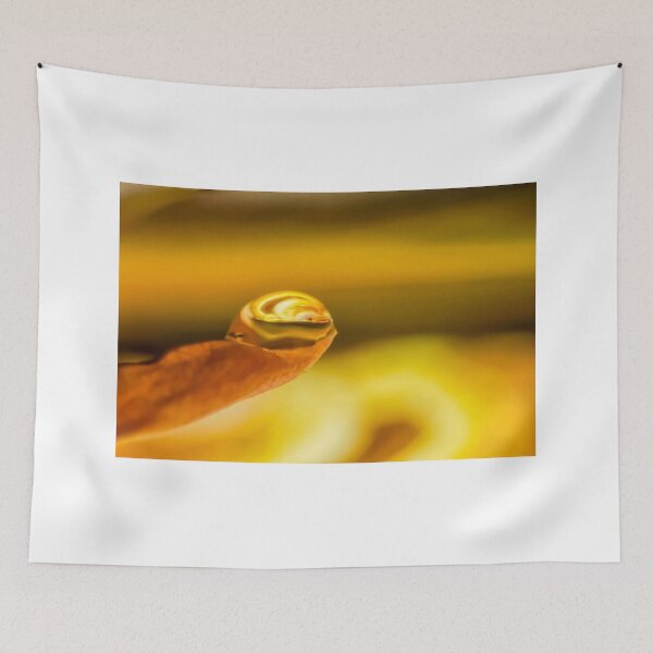 Item preview, Particles of the Whole designed and sold by Kenneth Haley.