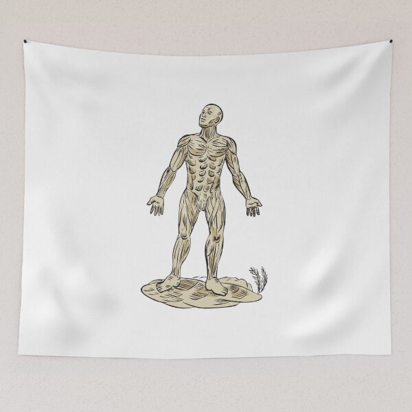 Item preview, Human Muscle Anatomy Etching designed and sold by patrimonio.