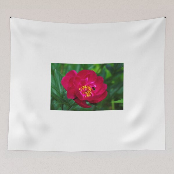 Item preview, Bee pollinating designed and sold by ADM  Photography.