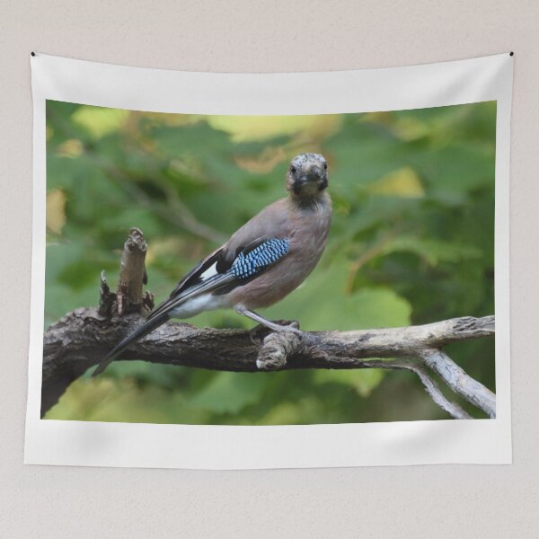 Item preview, Garrulus glandarius designed and sold by Mythos57.