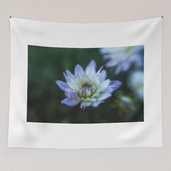 Item preview, 3952 designed and sold by Rrea Brown Photography.