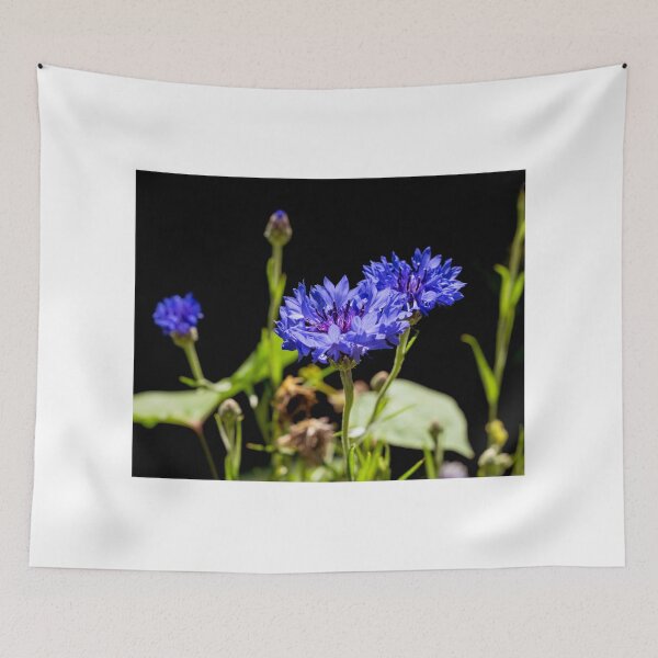 Item preview, Black And Blue designed and sold by JoeGeraci.