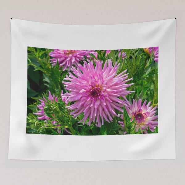 Item preview, Dahlia In Bloom 9 designed and sold by JoeGeraci.