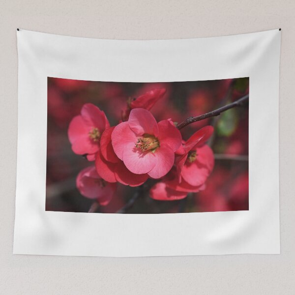 Item preview, Flowering Quince designed and sold by Joy Watson - Natural Light Photography .
