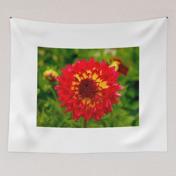 Item preview, Dahlia In Bloom 12 designed and sold by JoeGeraci.