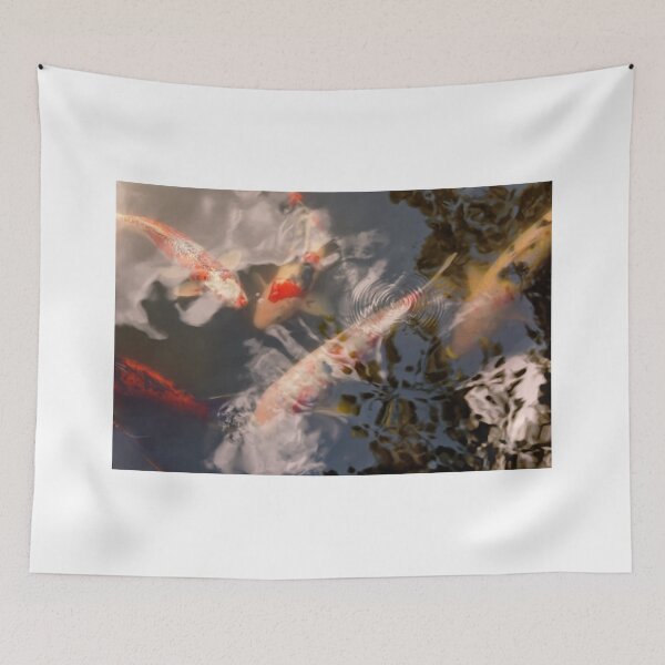 Item preview, Animal - Fish - Being koi designed and sold by Mike Savad Photography.