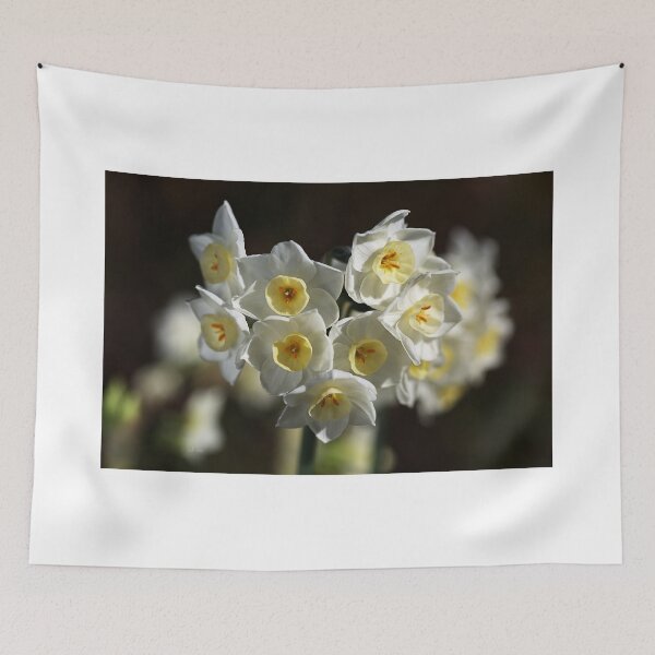 Item preview, Jonquils White and Yellow designed and sold by Joy Watson - Natural Light Photography .