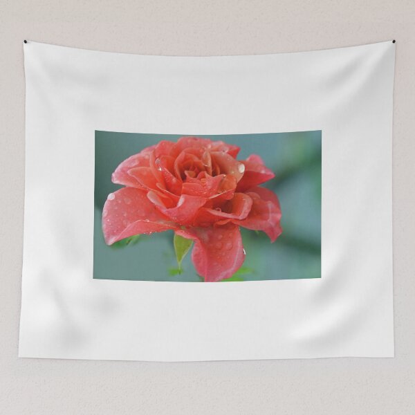 Item preview, Rain Filled Rose......Lyme Dorset UK designed and sold by lynn carter.