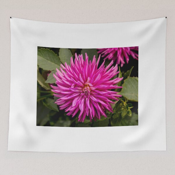 Item preview, Dahlia Display 20 designed and sold by JoeGeraci.