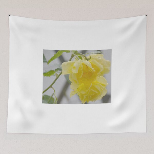 Item preview, Absolutely Soaking Wet, Lyme Dorset UK designed and sold by lynn carter.