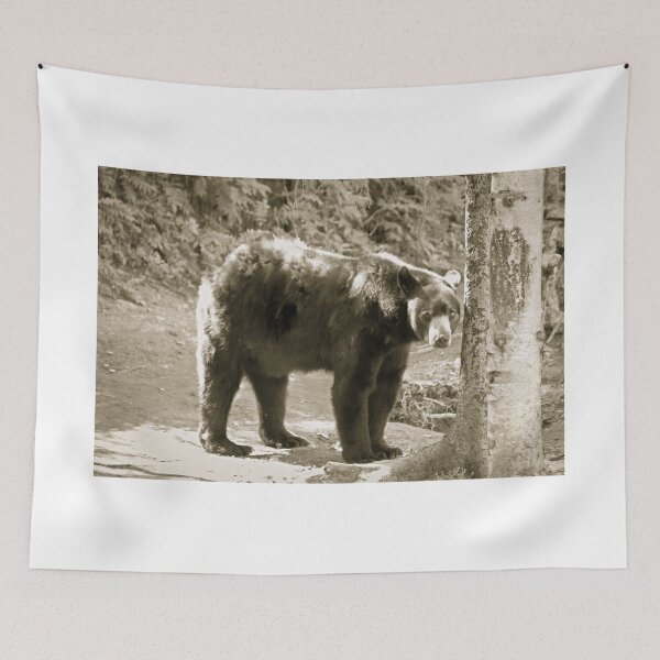 Item preview, Brown Bear  designed and sold by ADM  Photography.