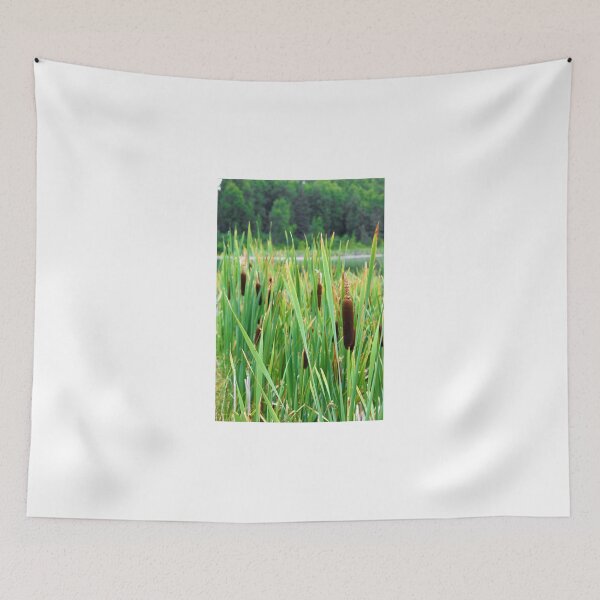 Item preview, Typha aka Cattails designed and sold by ADM  Photography.