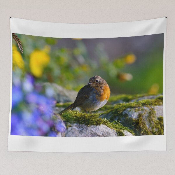 Artikelvorschau, Robin auf einer moosigen Wand entworfen und verkauft von AndrewJonesFoto.