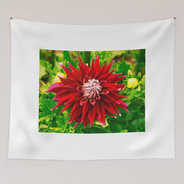 Item preview, Dahlia In Bloom 18 designed and sold by JoeGeraci.