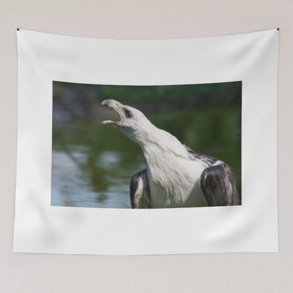 Item preview, Song designed and sold by byronbackyard.