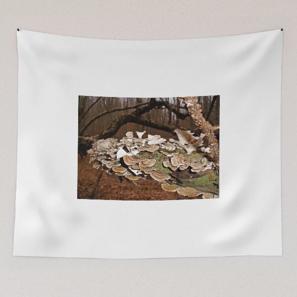 Item preview, Paper Thin  designed and sold by Paul Lubaczewski.