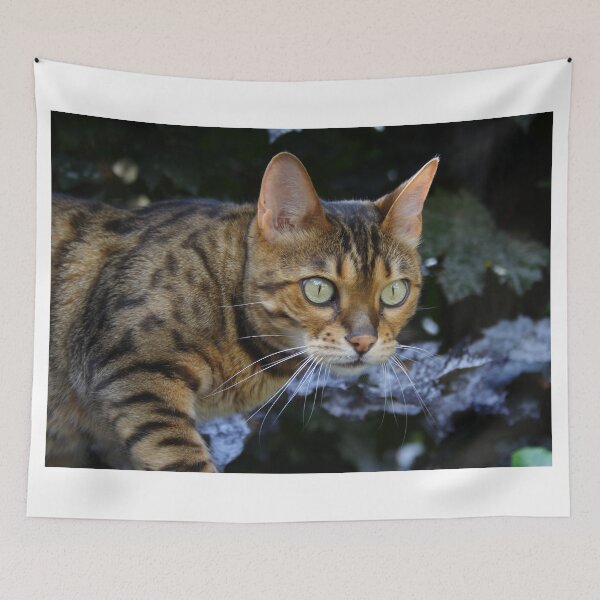 Item preview, Beauty Sneaking Up designed and sold by Mythos57.