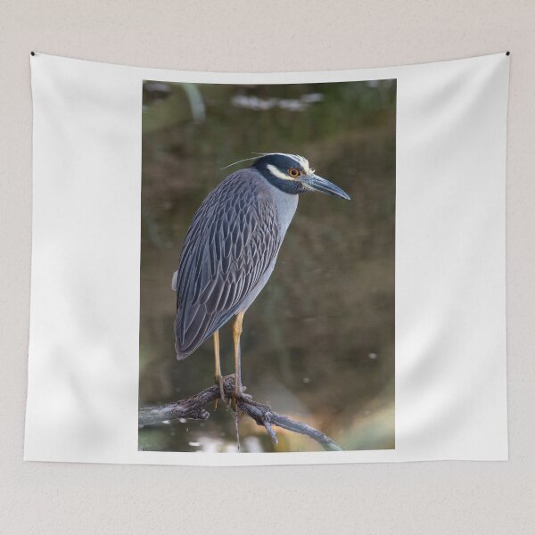 Item preview, Yellow-crowned Night-Heron designed and sold by Eivor Kuchta.
