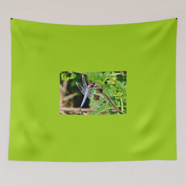Item preview, Odonata designed and sold by Lanis Rossi.